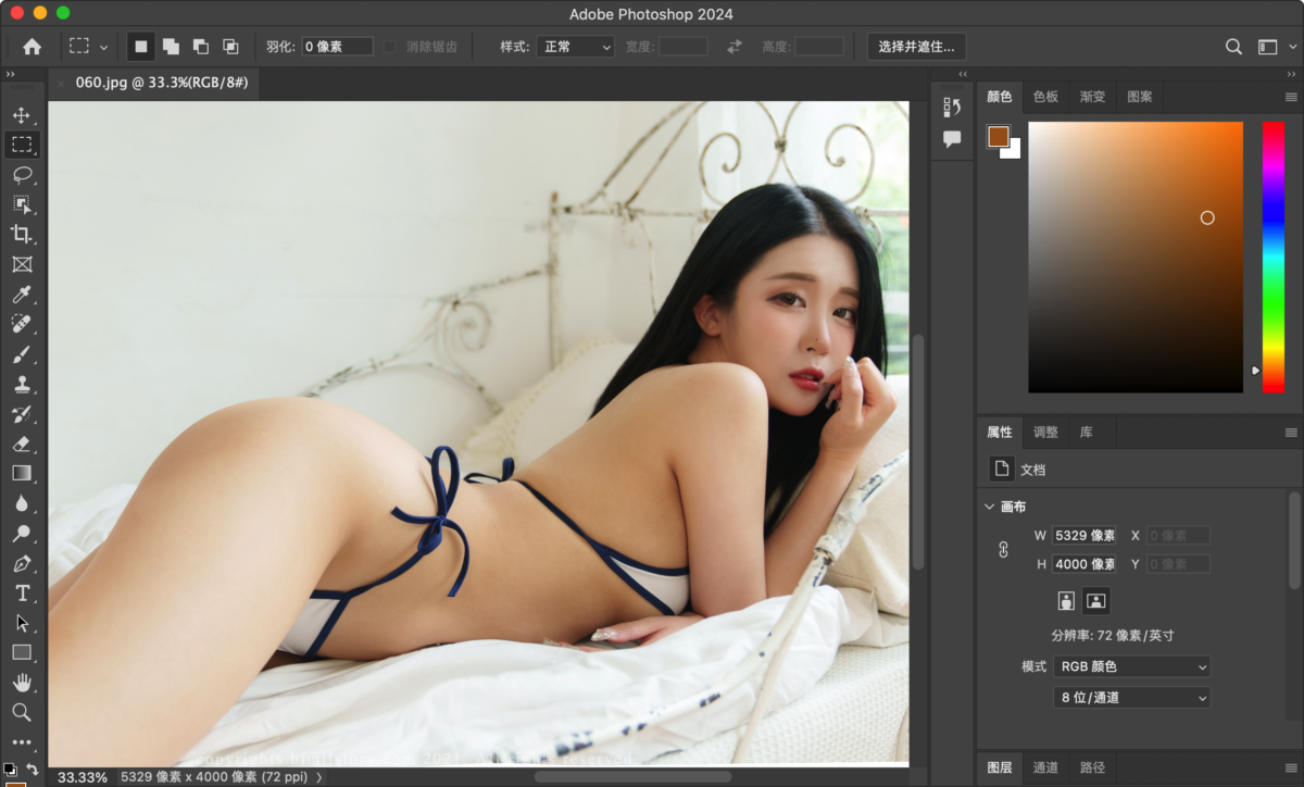 Adobe Photoshop 2024 Mac版 PS工具 25.11.0 ACR 16.4.0.1767 截图
