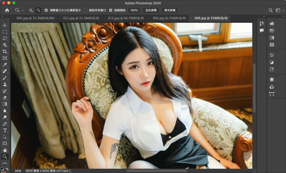 Adobe Photoshop 2024 Mac版 PS工具 25.11.0 ACR 16.4.0.1767 截图